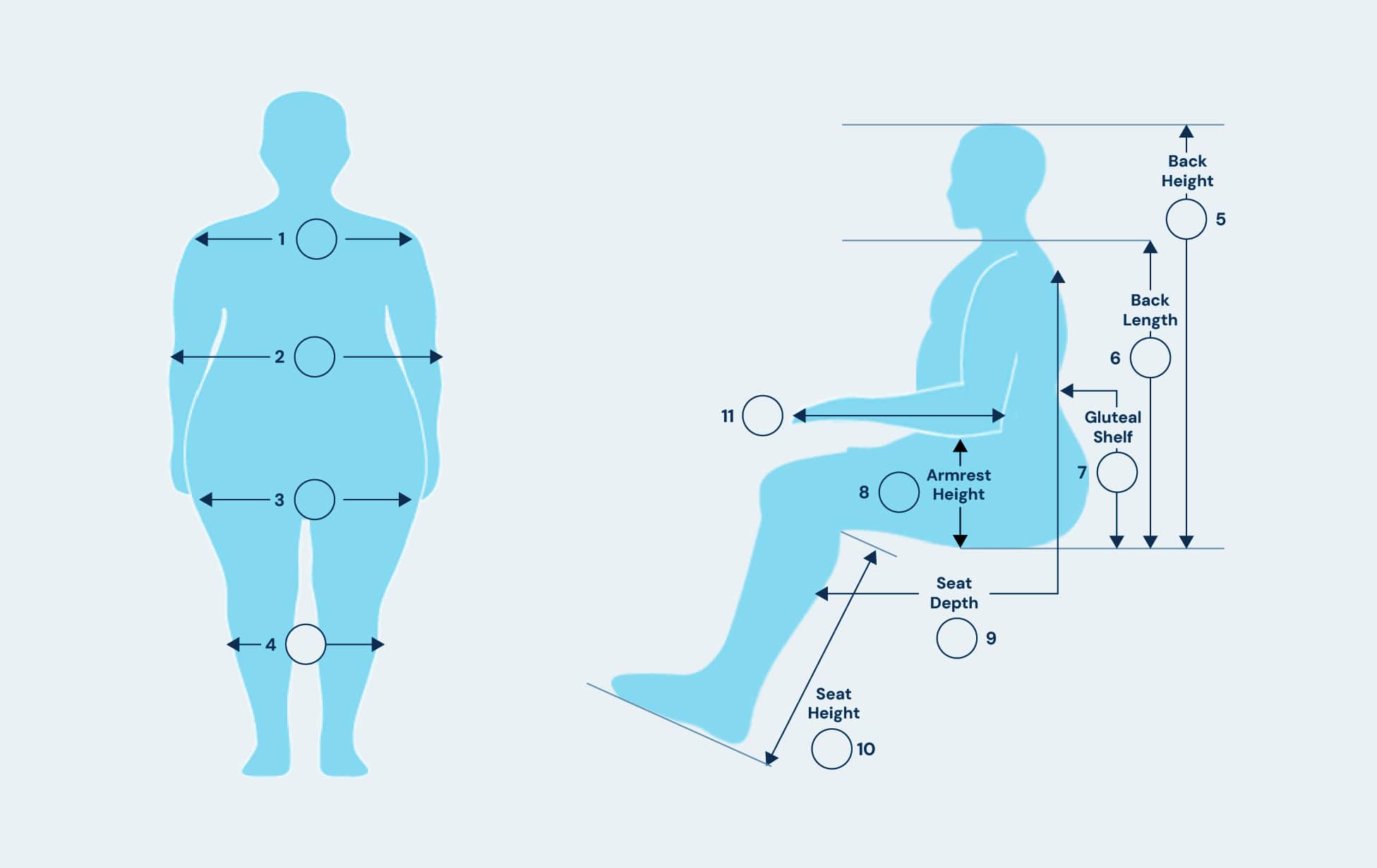Bariatric Client Measurements chart